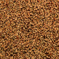 Gewürzgarten Selection - Bockshornkleesamen (Fenugreek Methi Seeds) (vor Gebrauch rösten!) Gewürzgarten Selection - Bockshornkleesamen (Fenugreek Methi Seeds) (vor Gebrauch rösten!)