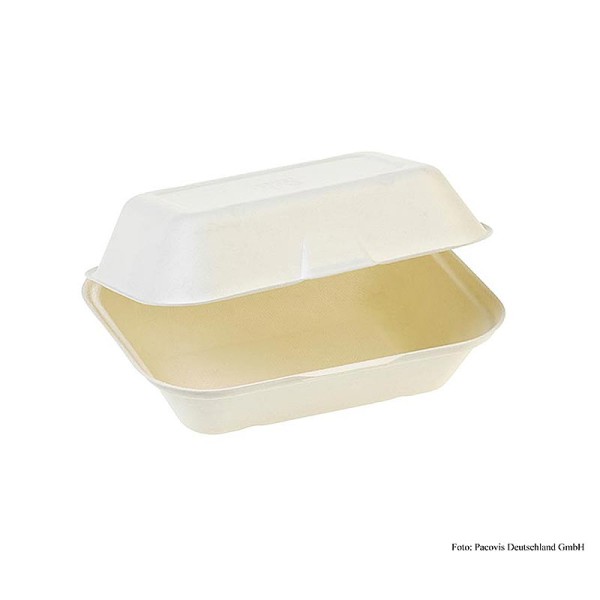 Naturesse - Einweg Naturesse Food Box Klappdeckel mittel 18.5x14x7.4cm Zuckerrohr