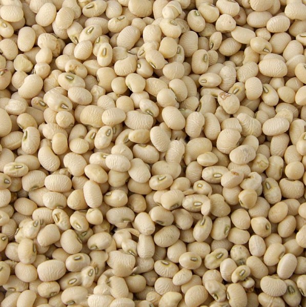 bohnen risina fagiolo di spello umbrien 500 g hulsenfruchte bohnen risina fagiolo di spello umbrien 500 g