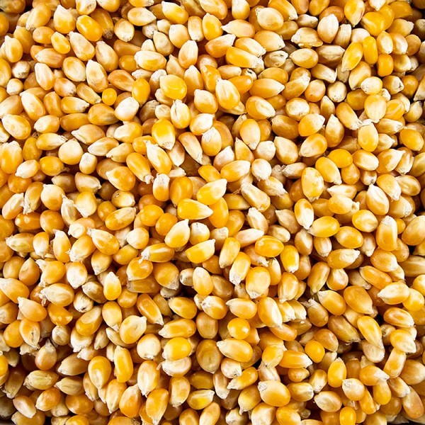 Deli-Vinos Snack Selection - Pop-Corn-Mais BIO
