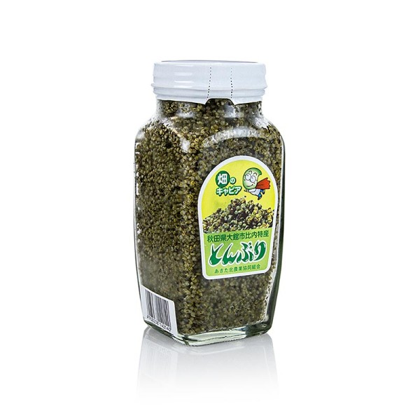 Kochia Scoparia - Kaviar des Feldes - Samen der Pflanze Kochia Scoparia Artischockennoten
