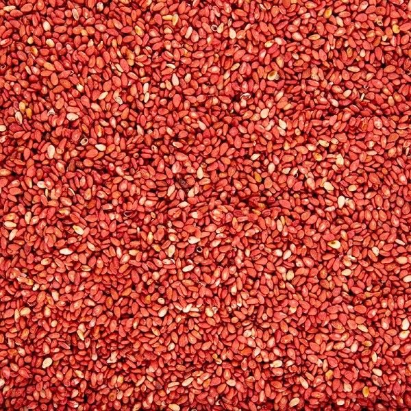 Le Comptoir Colonial - Sesam geröstet mit Ume Geschmack (Umeboshi / salzige Pflaume)