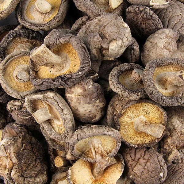 Gewürzgarten Selection - Getrocknete Shiitake Pilze (grosse Kalibrierung ø6-4cm)