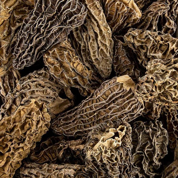 Deli-Vinos Mushrooms - Spitzmorchel-Köpfe Jumbo ab ø 5cm