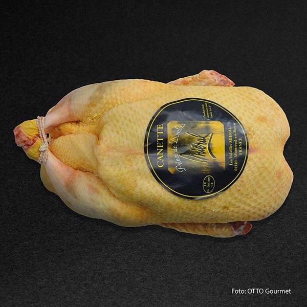 Otto Gourmet - Mieral Barbarie Ente ganz Le Prince de Dombes bratfertig Otto Gourmet TK
