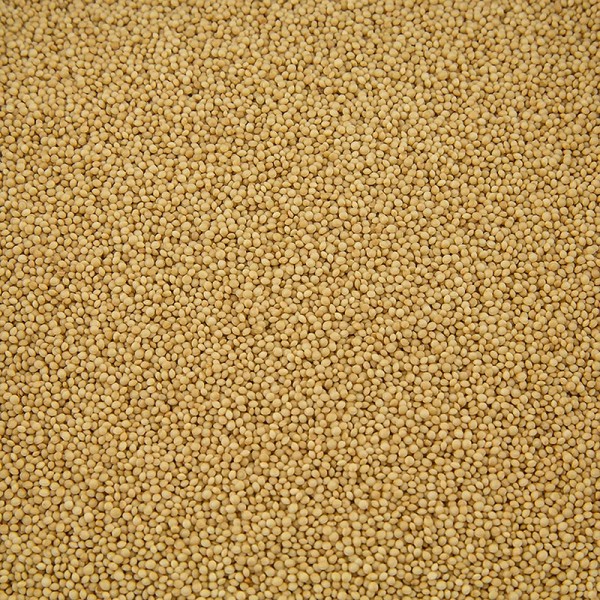 Gewürzgarten Selection - Amaranth BIO
