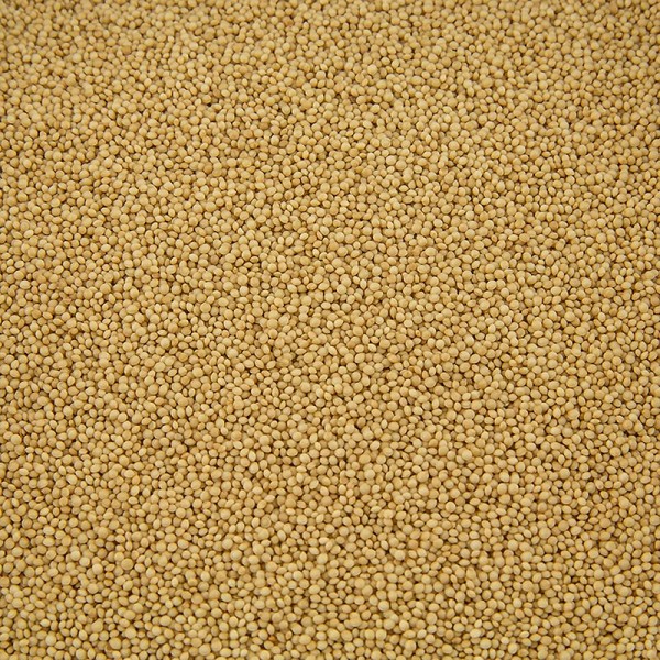 Gewürzgarten Selection - Amaranth BIO