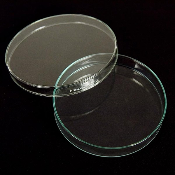 Deli-Vinos Molekular - Petrischalen aus Glas ø 15cm mit Deckel