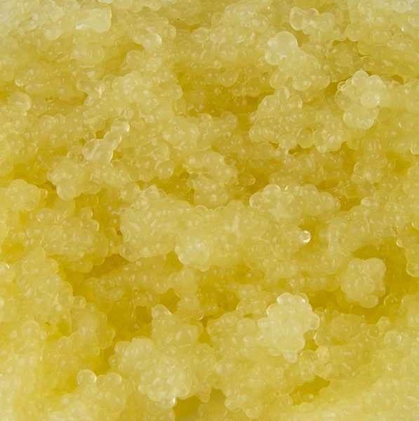 Cavi-Art - Cavi-Art® Algen-Kaviar gelb