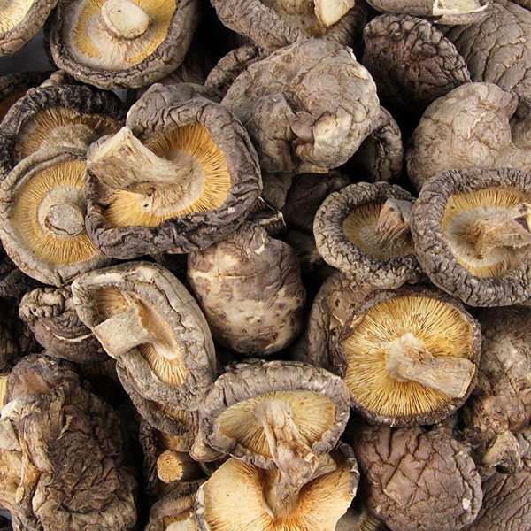 Gewürzgarten Selection - Getrocknete Shiitake Pilze (kleine Kalibrierung ø2-3cm) Dragon Boat