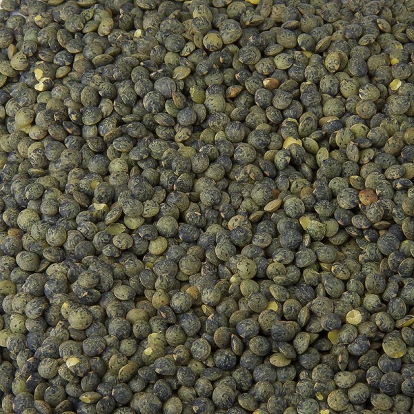 Deli-Vinos Legumes - Linsen grün Lentilles Kanada BIO