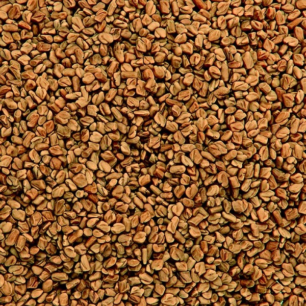 Gewürzgarten Selection - Bockshornkleesamen (Fenugreek Methi Seeds) (vor Gebrauch rösten!)