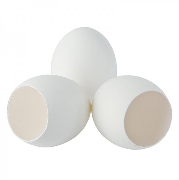 Deli-Vinos Kitchen Accessories - Leere Eierschalen weiss zum Füllen