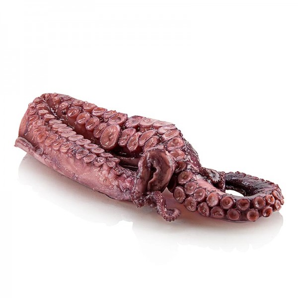 Salanort - Oktopusarme (Pulpo) vorgegart