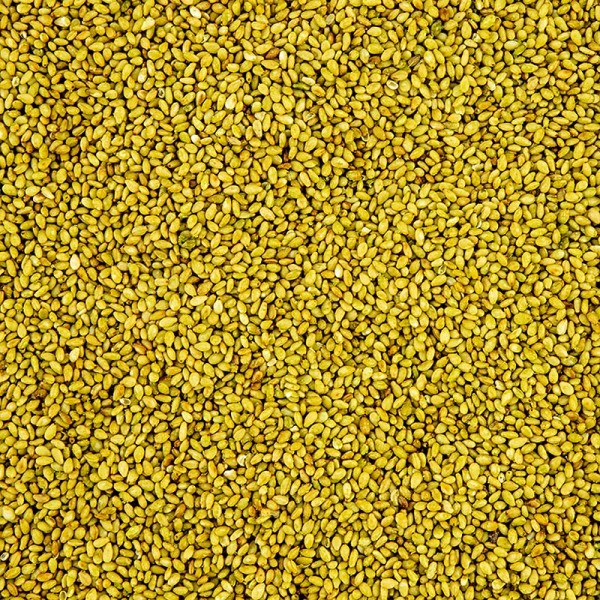 Gewürzgarten Selection - Sesam geröstet mit Wasabi Geschmack