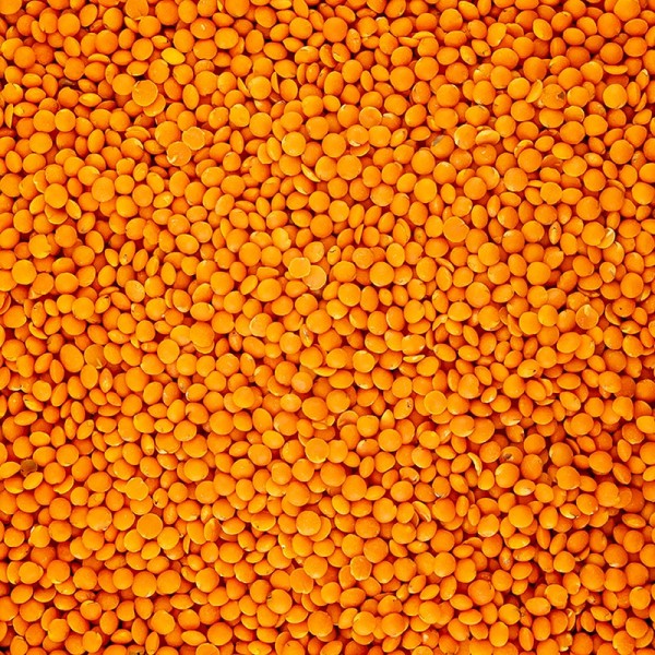 Deli-Vinos Legumes - Rote Linsen BIO