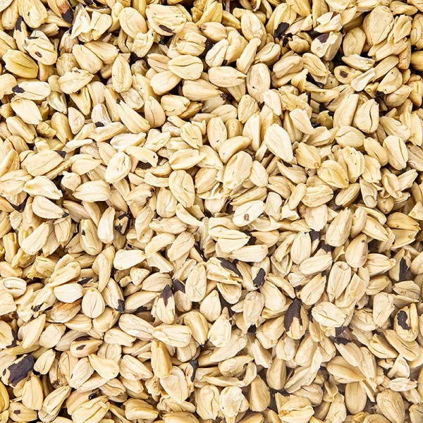 WS Waldfrüchte und Saat - Bucheckern geröstet ganz