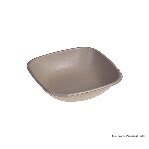 Naturesse - Einweg Naturesse Take Away Bowle (Schale) quad. 17x17x4cm 500ml