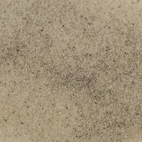 Greenplan - Vanillezucker mit echter Tahiti-Vanille Greenplan - Vanillezucker mit echter Tahiti-Vanille