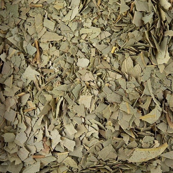 Deli-Vinos Patisserie - Eukalyptusblätter getrocknet