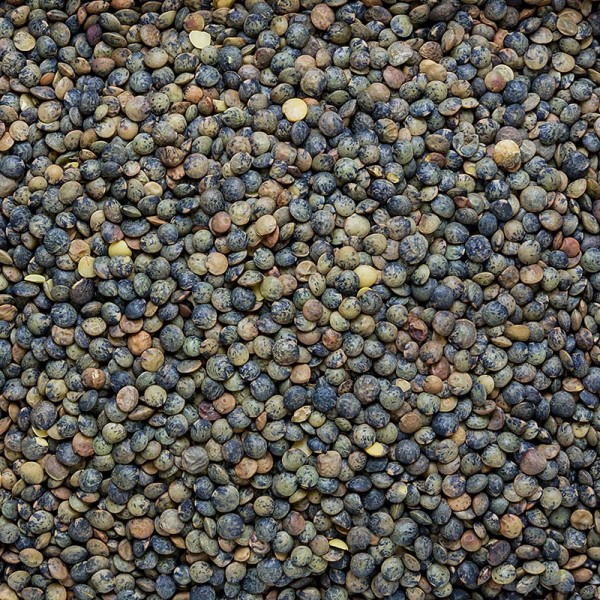 Deli-Vinos Legumes - Linsen grün - Linsen aus Puy traditioneller Anbau Frankreich
