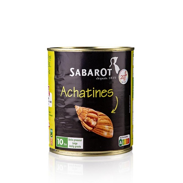 Sabarot - Achat-Schnecken (Achatines) 10 Dutzend mittelgroß Sabarot