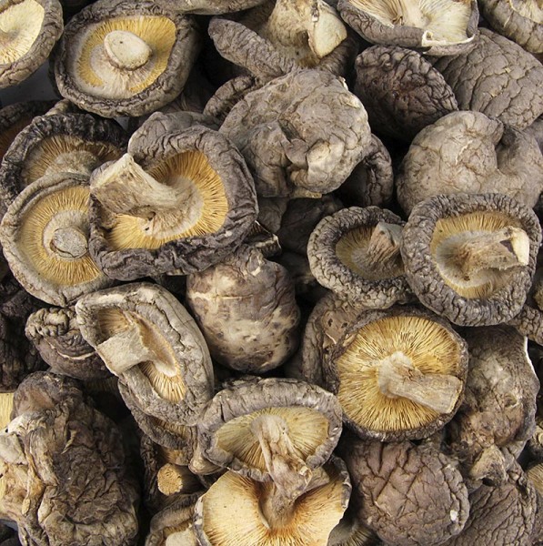 Deli-Vinos Mushrooms - Shiitake Pilze Tongu kleine Kalibrierung ø 3cm Zhong-Hon-Gu